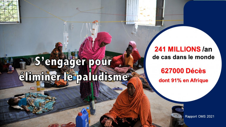 Campagne « Zéro Palu, mon entreprise s’engage » à l’occasion de la journée mondiale de lutte contre le paludisme (25 avril 2023)